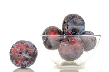 Several ripe black plums in glassware, close-up, isolated on a white background.
