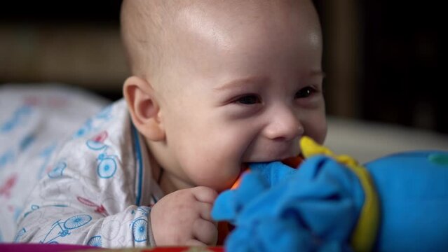 Newborn Active Baby Cute Smiling Teethless Face Portrait Early Days On Stomach Developing Neck Control. 5 Months Child In Playpen Gnaws Toys Look At Camera. Infant, Childbirth, Beginning Concept