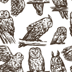Owls birds seamless pattern. Ornament of realistic sketches of wild animals. Vector illustration in retro engraving style.