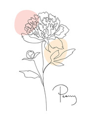 Beautiful peony flower. Line art concept design. Continuous line drawing. Stylized flower symbol. Vector illustration in black and pastel color