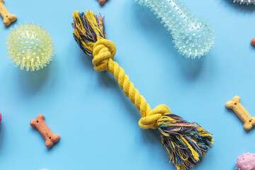 close up yellow rope for pets. Multicolored balls for dogs and bone snacks on a blue background....