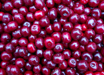 Lots of fresh colorful cherries. Cherry with drops. Cherry background top view.