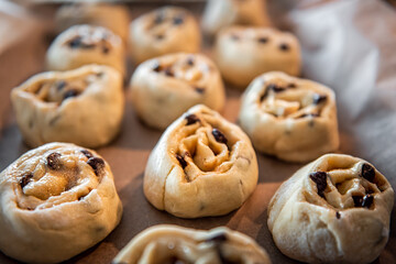 Raw uncooked yeast dough for cinnamon buns rolls swirl on parchment paper for rising and baking chocolate chip style