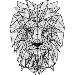 León geometría