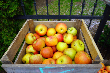 Organic apples in crates at a farmers market