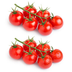 Set of dry and wet fresh tomatoes branches, isolated on white background