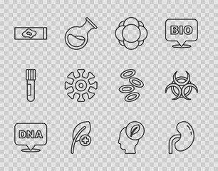 Set line DNA symbol, Human kidney, Molecule, Leaf or leaves, Blood test and virus, Bacteria, head with leaf inside and Biohazard icon. Vector