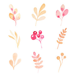 watercolor peach sipmle floral elements, leaves and branches for different designs