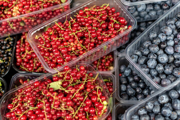 currant and blueberry in a market