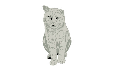Obraz na płótnie Canvas Cat Vector Art