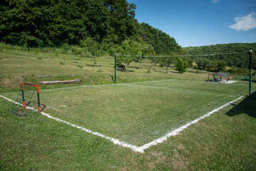 lime marking on the grass