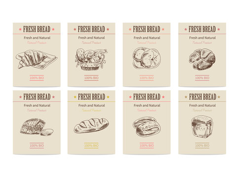 Vector hand drawn sketch bread posters set. Eco foods. Sketch illustration.