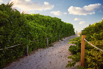 Fototapeta na wymiar beautiful tropical pathway to sandy beach at summer morning