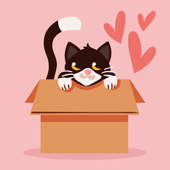 black cat inside box