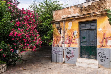 Athens flowers and graffiti
