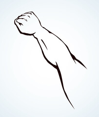 Hand with an elongated fist. Vector drawing