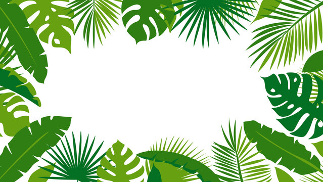 White background with vector green palm tropical leaves