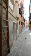 Fototapeta na wymiar narrow street on the island of Venice in Italy and a ladder used by the Fire Brigade in case of fire