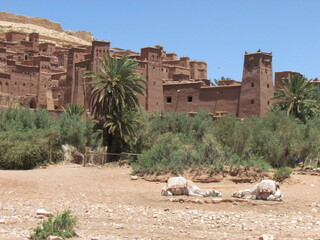 ancient city of historic city