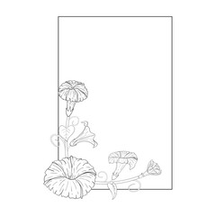 Flower rectangular frame. Drawing and sketches with black and white linear art.