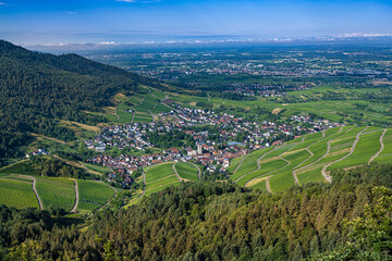 View over the Black Forest to the vineyards of the village Neuweier near Baden Baden, Germany - obrazy, fototapety, plakaty