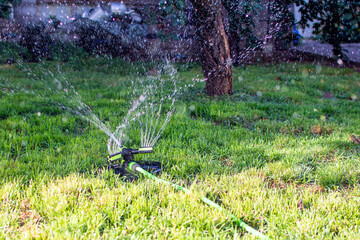 portable lawn sprinkler sprinkles water on green lawn