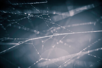 background with drops