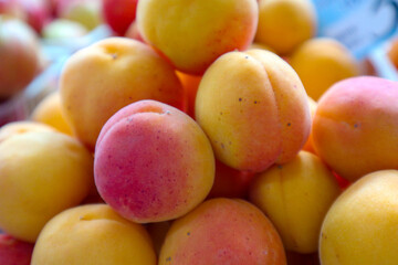 a mountain of delicious sweet juicy apricots   