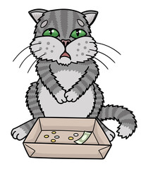 Sad gray cat begging. He collects money in a box.