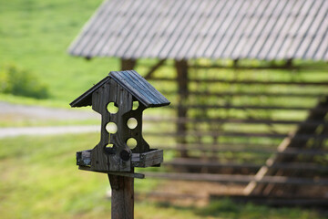 Birdhouse in the green field