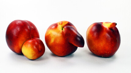 Fototapeta na wymiar Three unusual shaped nectarine peaches isolated on white. Peach with a nose, double peach. Peaches freaks. unusual fruits