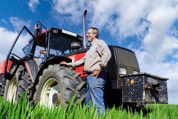 Lohn der Arbeit - gut wachsenes Getreidefeld. © Countrypixel