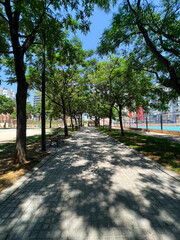 I walk in the park in broad daylight