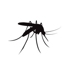 Vector illustration of black mosquito silhouette. Bloodsucker.
