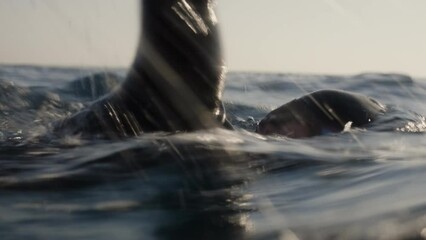Man swimming front crawl in open water swimming underwater view. Sportsman in goggles and cap training close up tracking shot. Professional muscular male swimmer workout
