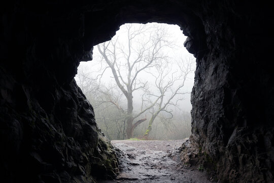 Looking out of a cave entrance onto a misty winters day. Malvern Hills. UK.