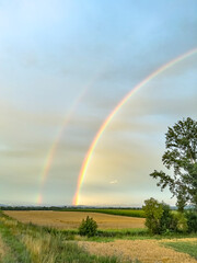 Naklejka premium Rainbow and Nature