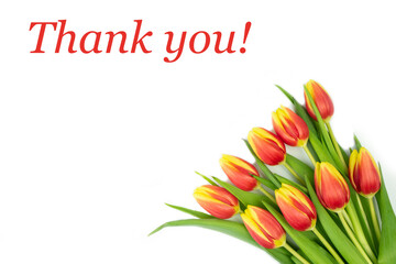 Postcard on it Red Yellow tulips on a White background and the text THANK YOU in Red letters.concept postcard, congratulation, invitation, announcement, advertisement. High quality photo