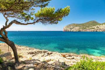 Rocky coast with pine tree at emerald Mediterranean sea - 1094