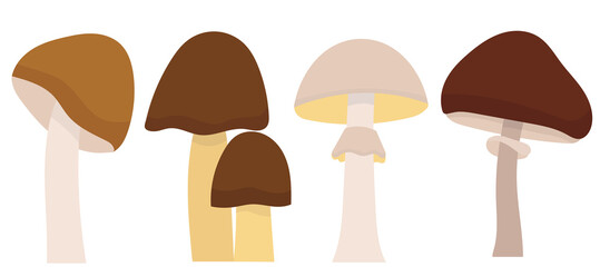 mushrooms in flat design, isolated vector