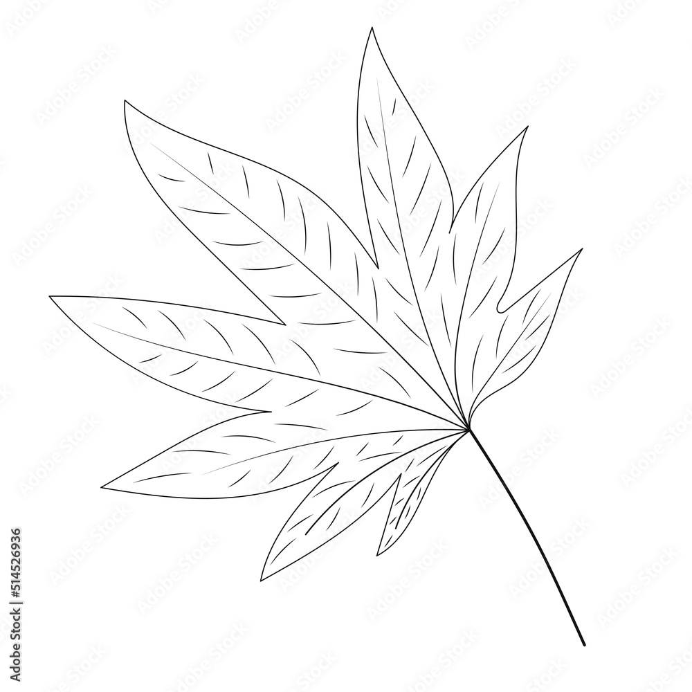 Wall mural tree leaf doodle on white background - Wall murals