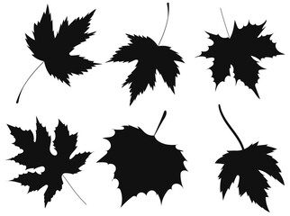 tree leaves set silhouette on white background