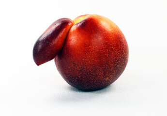 Unusual peach nectarine, peach with nose, peach freak. Isolated on white close-up. Fresh ripe red nectarine of an unusual shape. original fruit. 