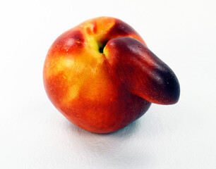 Unusual peach nectarine, peach with nose, peach freak, Isolated on white, close-up. Fresh ripe red nectarine of an unusual shape. original fruit.