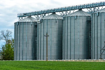 silver silos on agro manufacturing plant for processing drying cleaning and storage of agricultural products, flour, cereals and grain. Large iron barrels of grain. Granary elevator © Pokoman