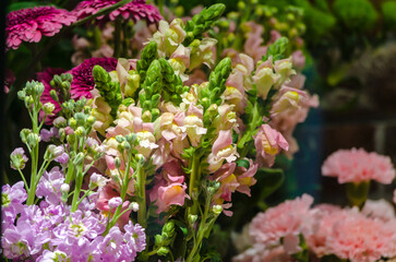 Bouquets of flowers on the window of a flower shop