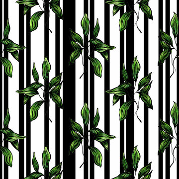 Seamless pattern with green leaves on a striped black and white background © Tatyana Olina