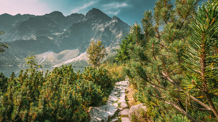 Tatra National Park, Poland. Trail Near Mountains Lake Morskie Oko Or Sea Eye Lake In Summer Morning. Five Lakes Valley. Beautiful Scenic View. European Nature. © Great Brut Here