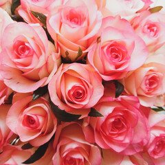 bouquet of roses