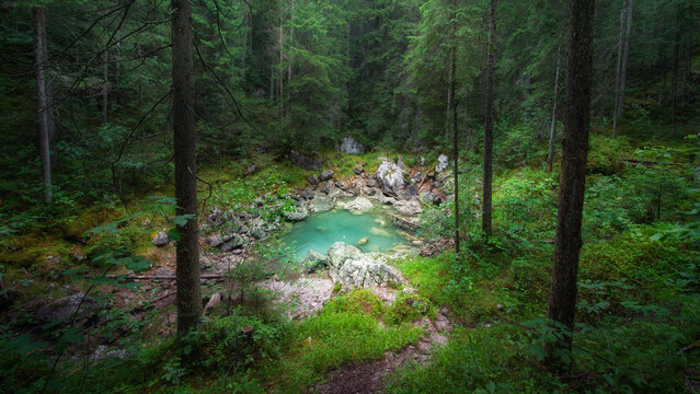 Mystical pond in the forest of the Eibsee in Austria - Tirol